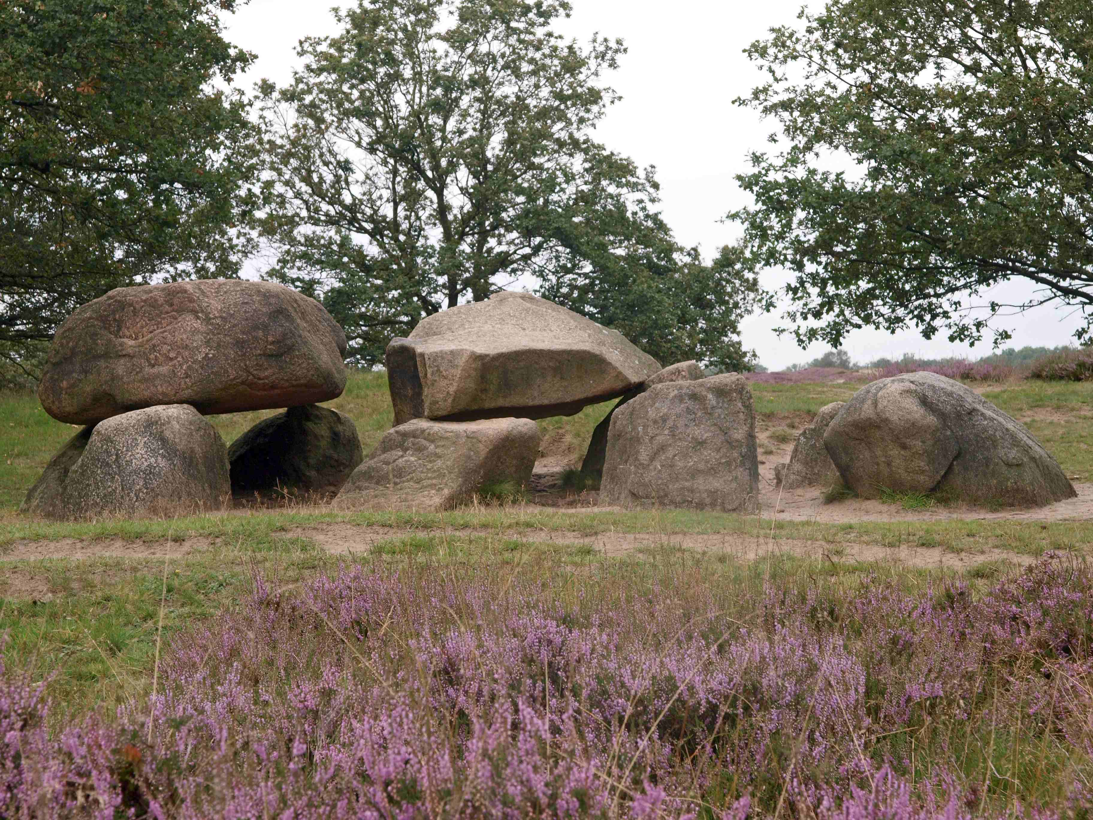 Gasterse Duinen bij Eext
